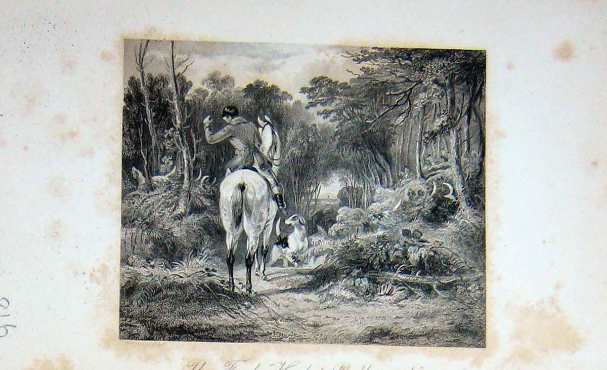 Original Old Antique Print Fox Hunting Rallywood Horses Sport Baily'S 1897 19th