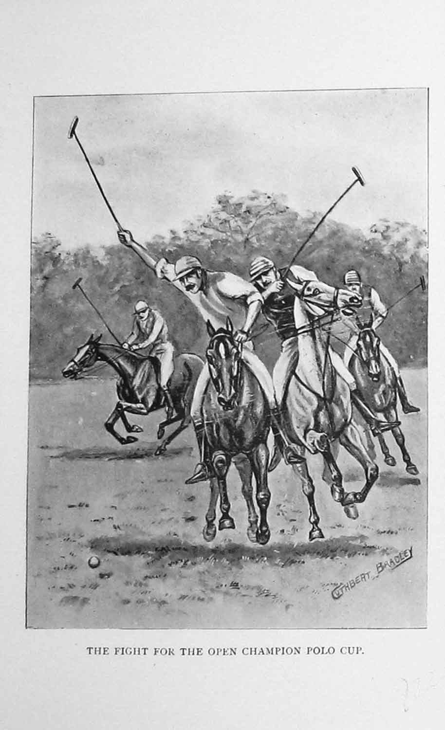 Original Old Antique Print Polo Ponies Open Champion Cup Horses Sports 1897