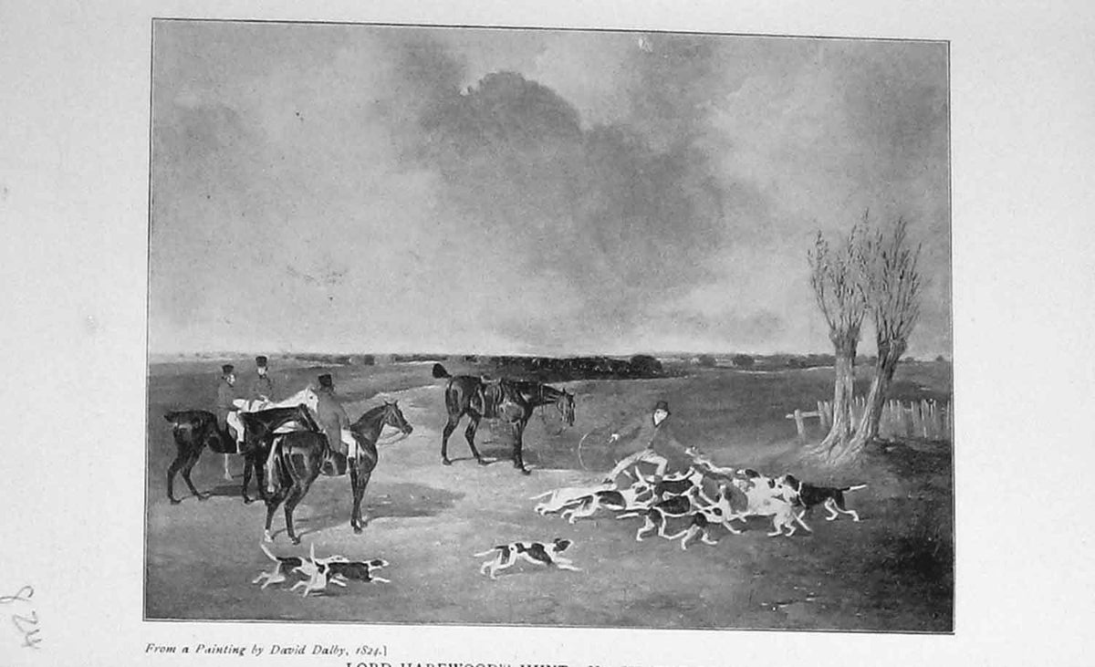 Original Old Antique Print Lord Harewoods Hunt Sport Horses Hounds Dogs 1897