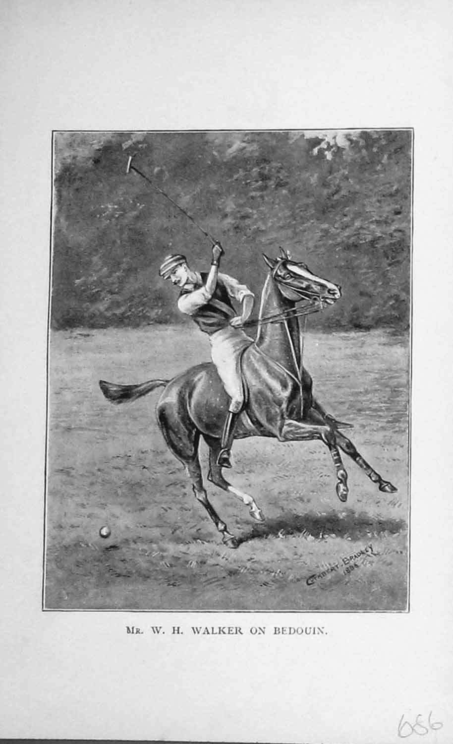 Original Old Antique Print Portrait 1896 Mr W.H Walker Bedouin Polo Horse 19th