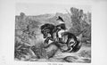 Old Antique Print Baily'S Magazine 1896 Young Boy Pony Horse Jumping Goat 19th