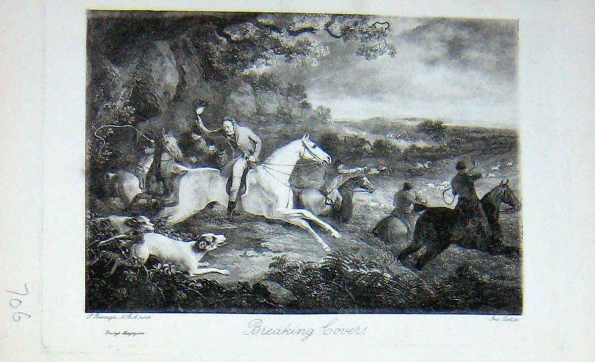 Original Old Antique Print Country Fox Hunting Sport Horses Hounds Dogs 1896