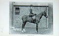 Original Old Antique Print Portrait 1896 Lady Gerard Horsewoman Sport Victorian