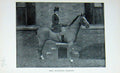 Original Old Antique Print Portrait 1896 Mrs Hatfield Harter Horse Sport 19th