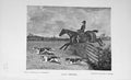 Original Old Antique Print Portrait 1896 Jack Stevens Hunting Sport Dogs 19th