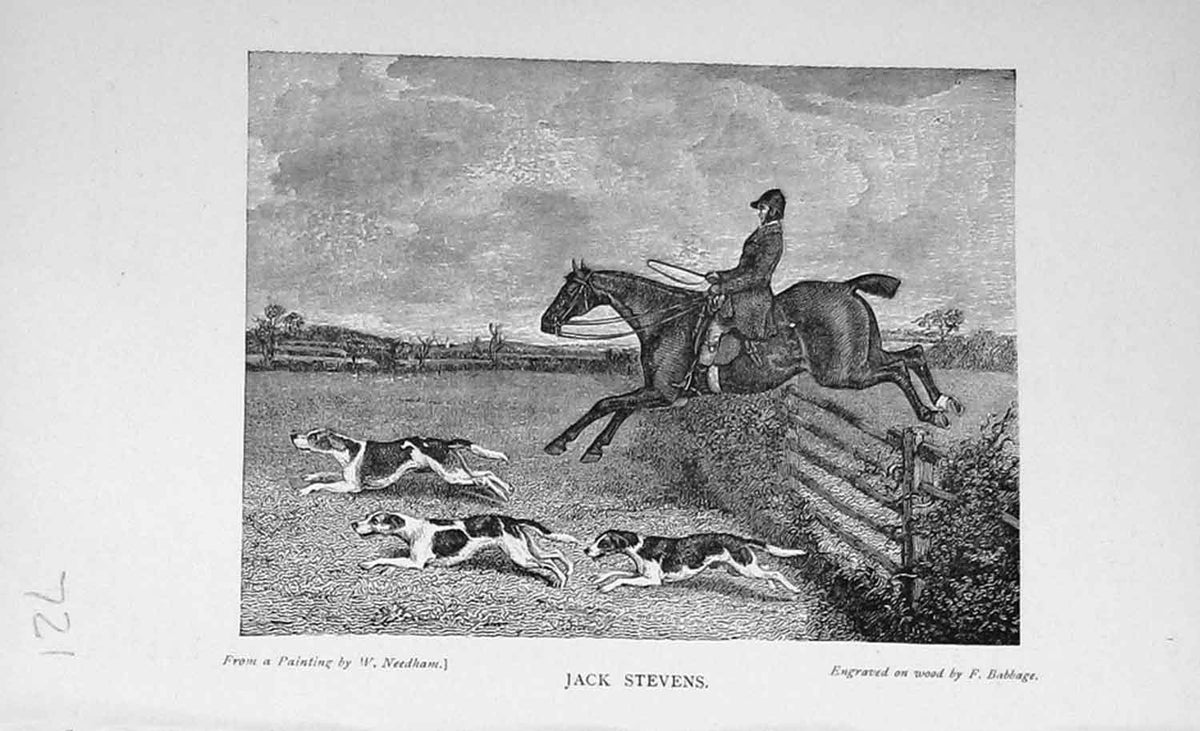 Original Old Antique Print Portrait 1896 Jack Stevens Hunting Sport Dogs 19th