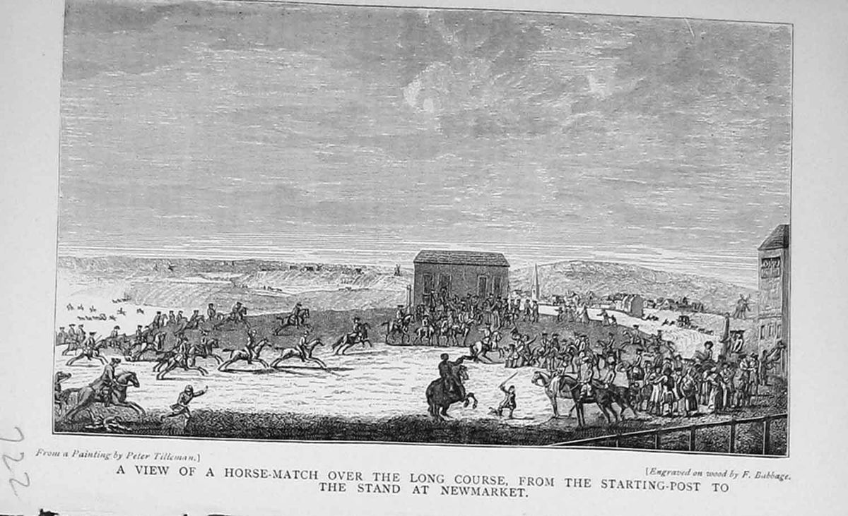 Original Old Antique Print Horse Racing Course Stand Newmarket Sport 1896 19th