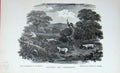 Old Antique Print Baily'S Magazine 1896 Pointers Dogs Gamekeeper Hunting 19th