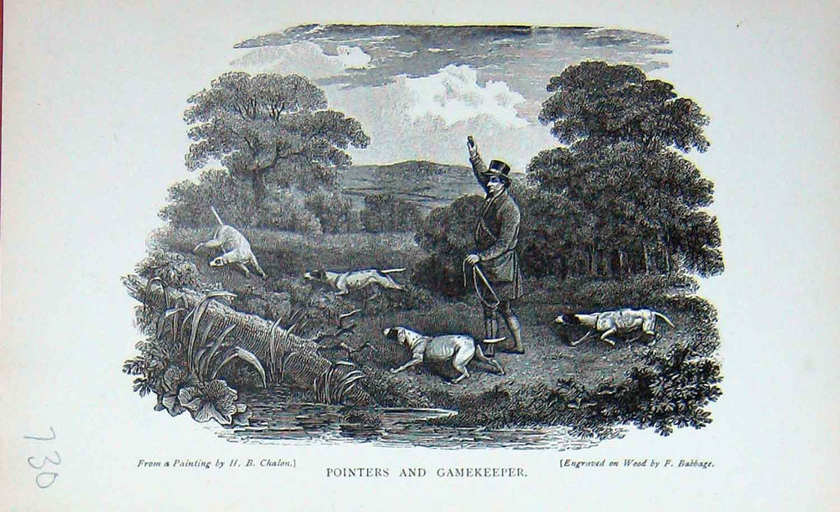 Old Antique Print Baily'S Magazine 1896 Pointers Dogs Gamekeeper Hunting 19th