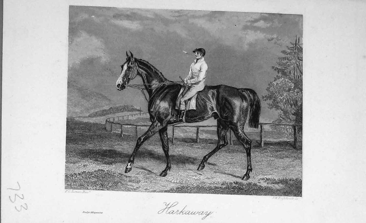 Original Old Antique Print Baily'S Magazine 1896 Sport Horse Harkaway Jockey