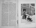 Original Old Antique Print Portrait 1896 Tobogganer HarFreeman Son Victorian