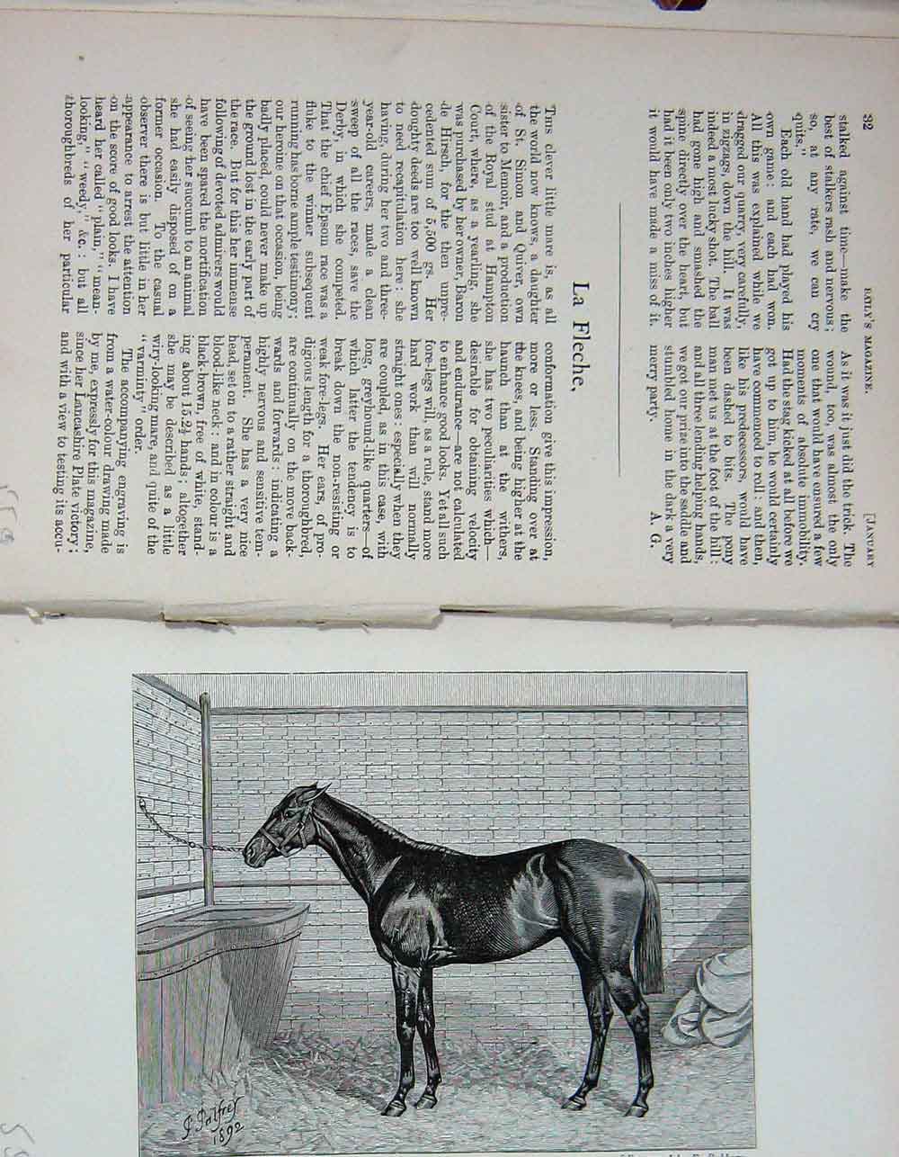 Original Old Antique Print Portrait 1893 La Fleche Horse Stable Sport Victorian