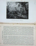 Original Old Antique Print Country Fox Hunting Cub Man Horse Hounds Dogs 1893