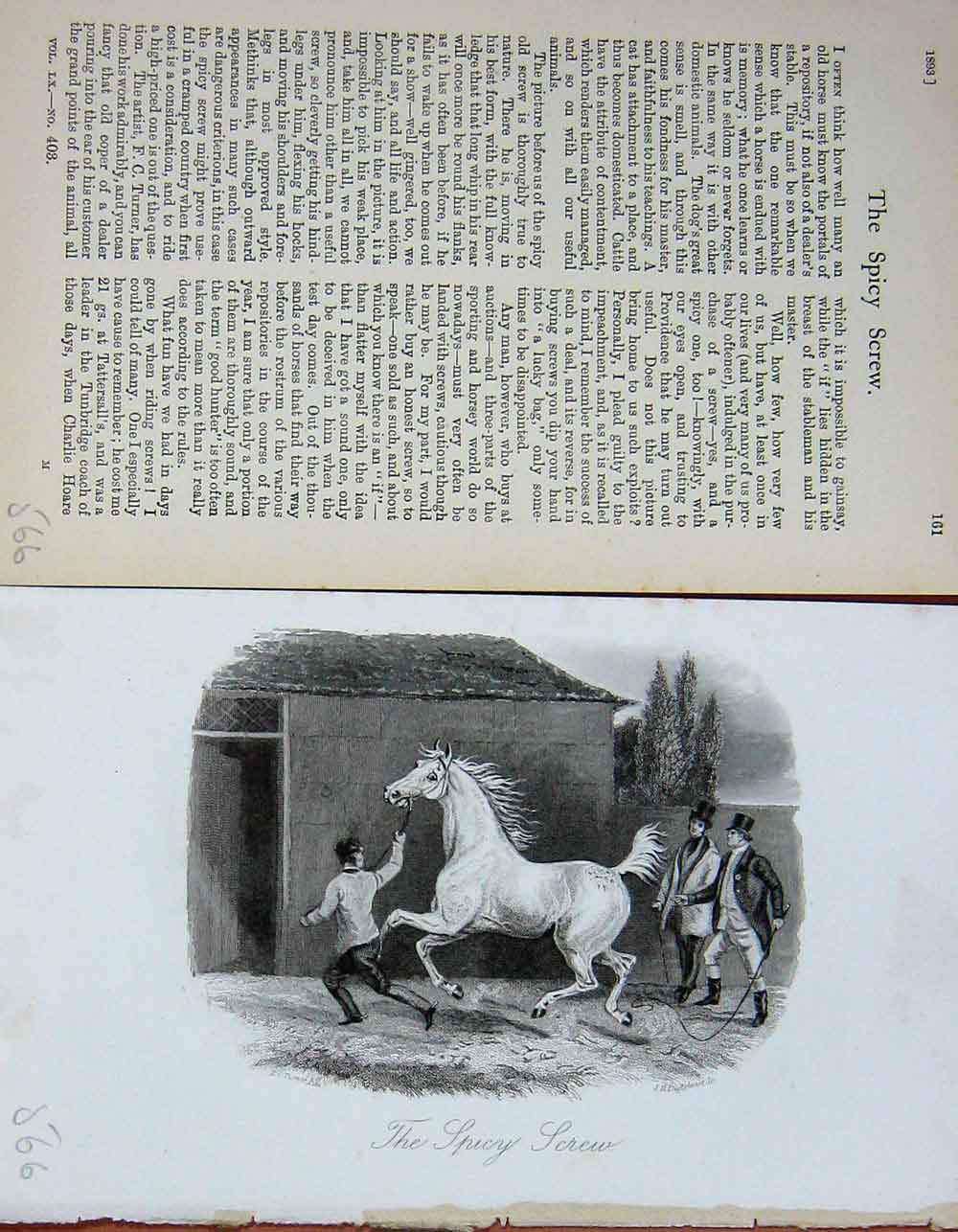 Old Antique Print Spicy Screw Horse Stable Sports 1893 Baily'S Magazine 19th
