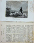 Original Old Antique Print Country Hunting Hounds Dog 1894 Sport Man Baily'S