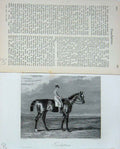 Original Old Antique Print 1894 Touchstone Horse Racing Jockey Sport Baily'S
