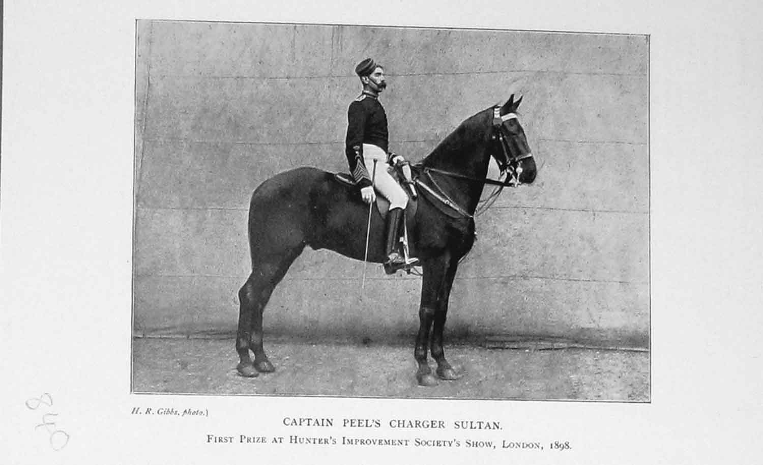 Original Old Antique Print Portrait 1898 Captain Peel Charger Sultan Horse 19th
