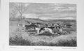 Original Old Antique Print Fox Hunting Hounds Dogs Sport Baily'S Magazine 1898