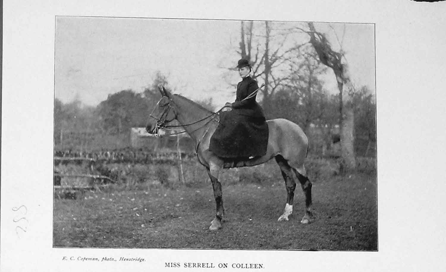 Original Old Antique Print Portrait 1898 Miss Serrell Colleen Horse Photo 19th
