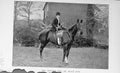 Original Old Antique Print Portrait 1898 Mrs Herbert Peel Black Jack Horse 19th