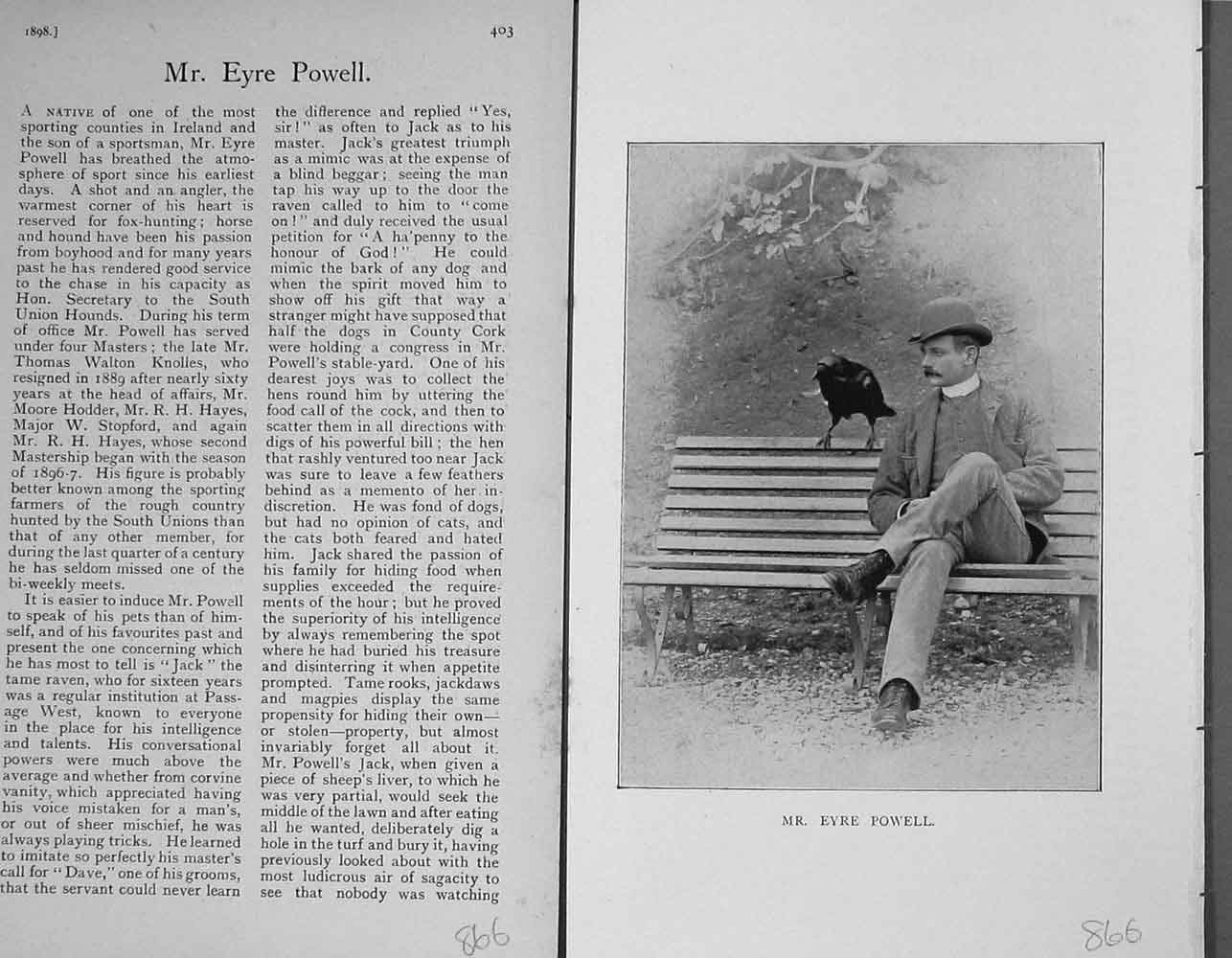 Original Old Antique Print Portrait 1898 Mr Eyre Powell Sportsman Photo 19th