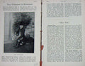 Original Old Antique Print Portrait 1898 Tom Whitemore Sportsman Baily'S 19th