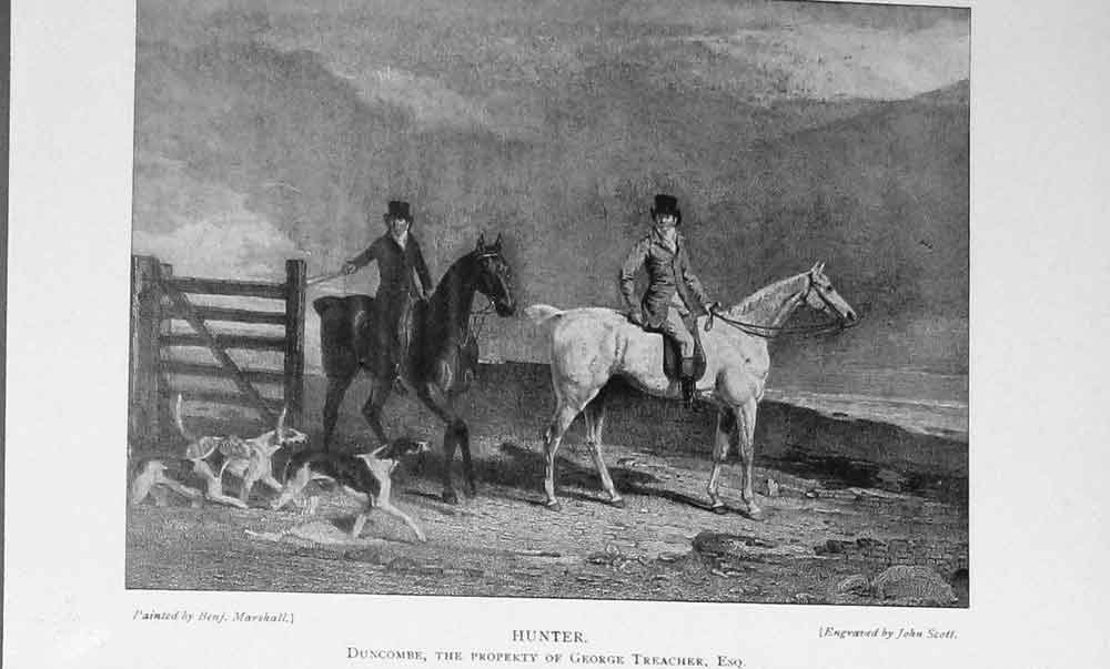 Original Old Antique Print 1899 Portrait Hunter Horse Dog Duncombe Sport 19th