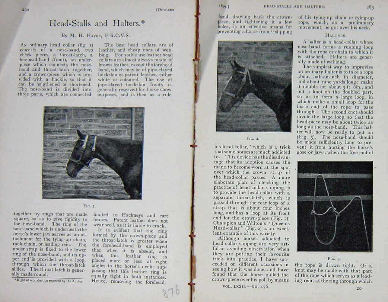 Original Old Antique Print 1899 Photograph Horses Head-Stalls Halters Baily'S