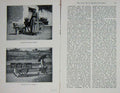 Original Old Antique Print 1900 Photograph Vegetable Woman Dinant Baker'S Cart