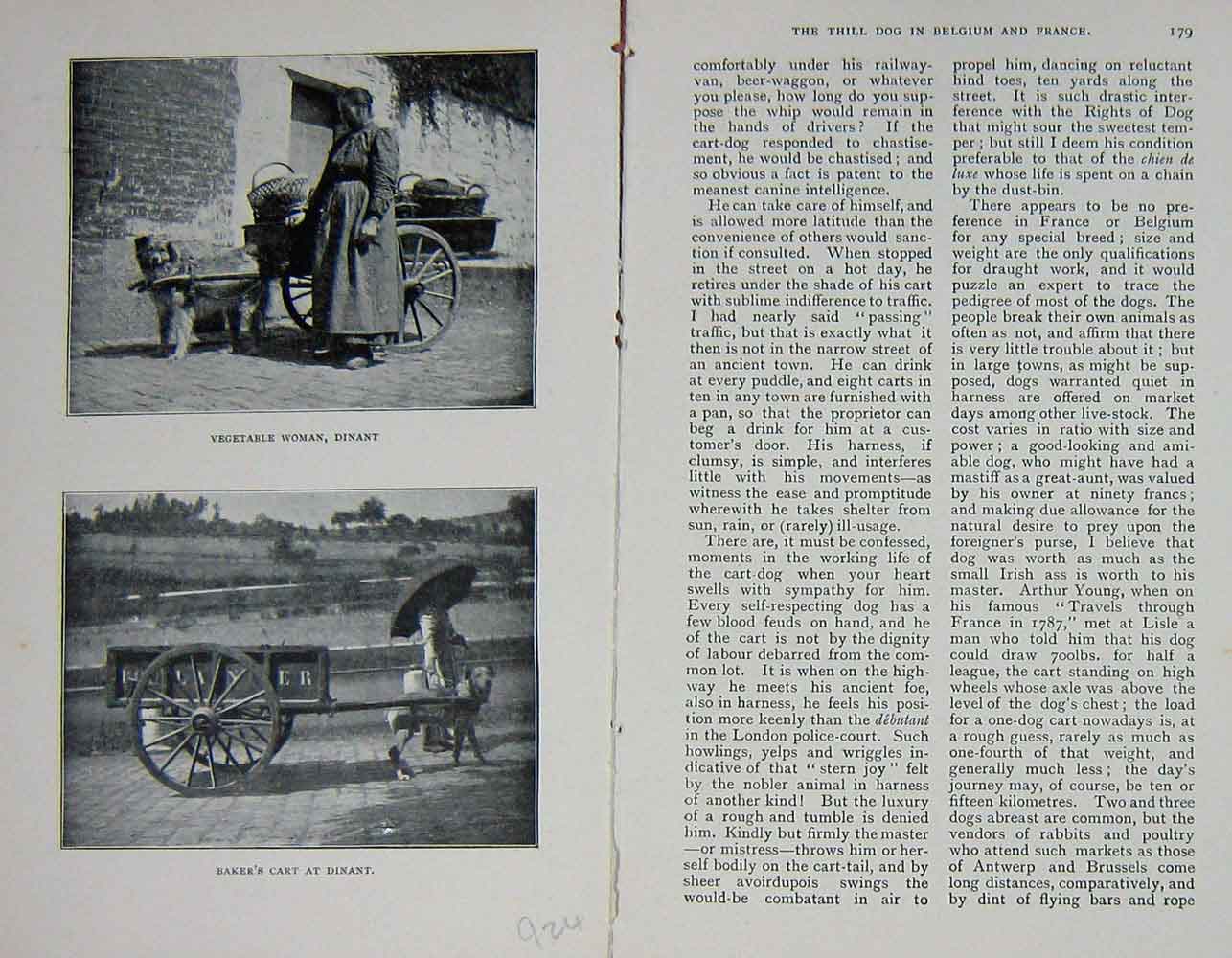 Original Old Antique Print 1900 Photograph Vegetable Woman Dinant Baker'S Cart