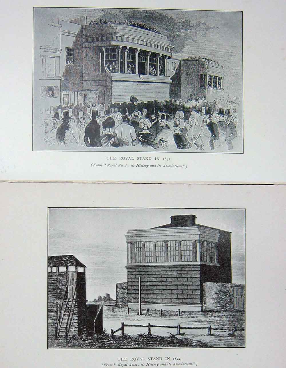 Original Old Antique Print 1900 Royal Stand Horse Racing Ascot Sport Victorian