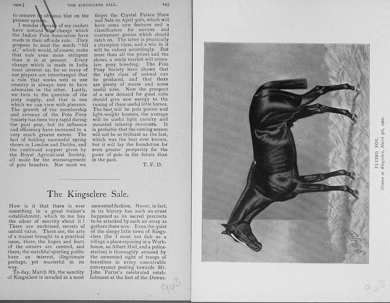 Original Old Antique Print 1900 Portrait Flying Fox Horse Kingsclere Victorian