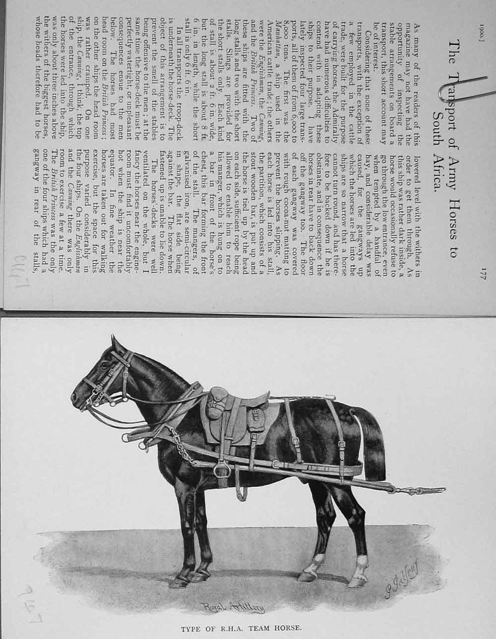 Original Old Antique Print 1900 R.H.A Team Horse Sports Baily'S 20th