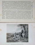 Original Old Antique Print 1900 Fox Hunting Dress Horses Hounds 20th