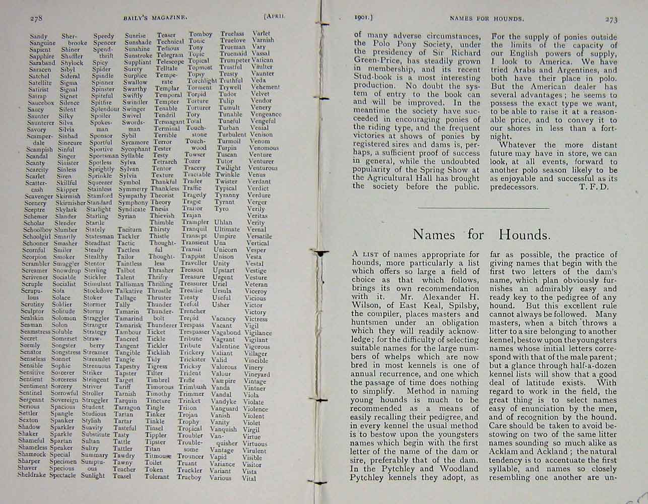 Old Antique Print 1901 Booklet Hounds Dogs Hunting Sport Baily'S Magazine 20th