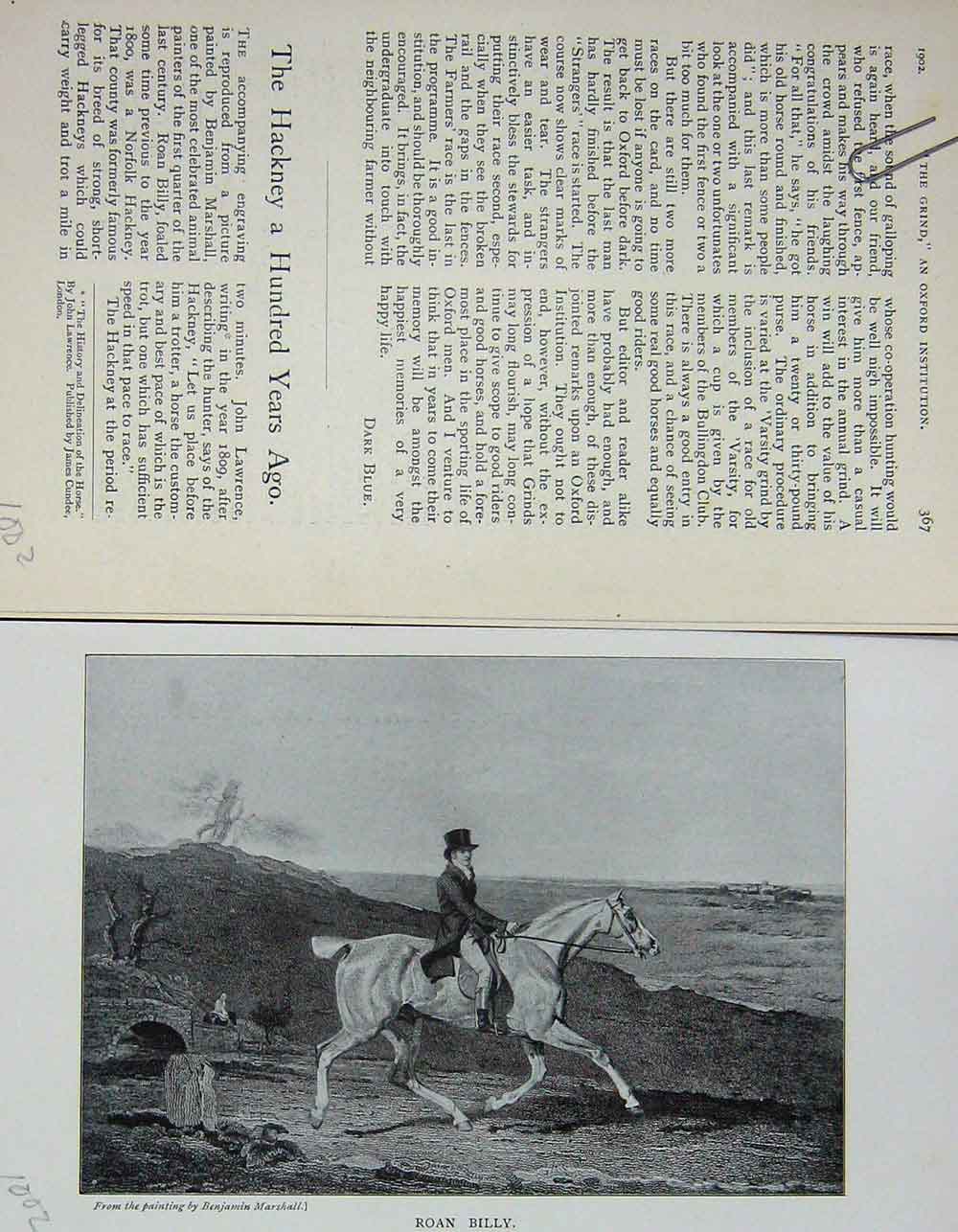 Original Old Antique Print 1902 Portrait Roan Billy Norfolk Hackney Horse 20th