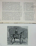 Original Old Antique Print 1902 Portrait Belvoir Horse Lady Hunting Dogs 20th
