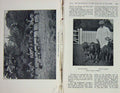 Original Old Antique Print 1902 Home Homeleigh Bloodhounds Horses Dogs Hunting