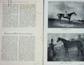 Original Old Antique Print 1902 Portrait Horses Eleanor Blink Bonny Epsom 20th