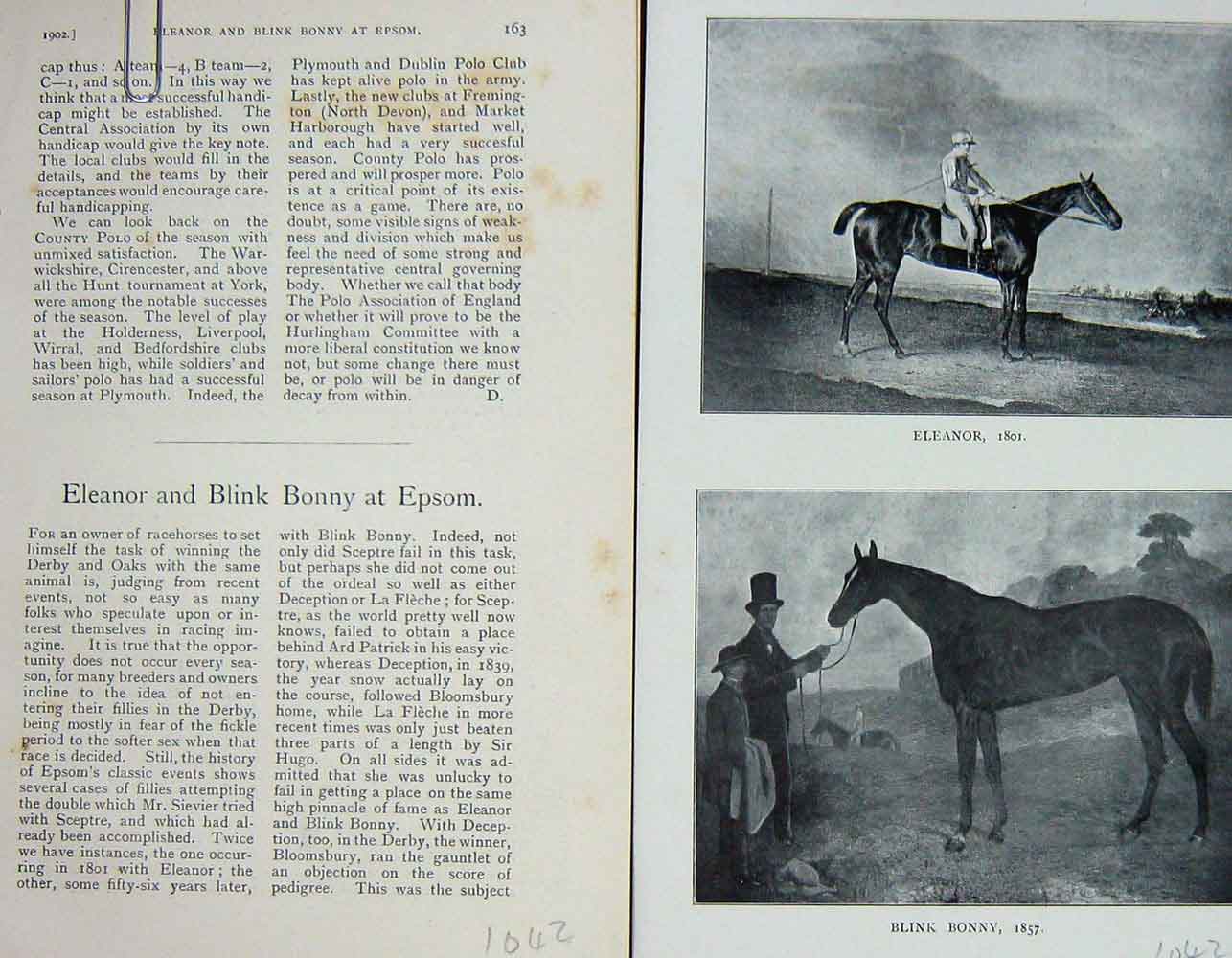 Original Old Antique Print 1902 Portrait Horses Eleanor Blink Bonny Epsom 20th