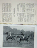 Original Old Antique Print 1902 Polo Horses Sport England America 20th Century