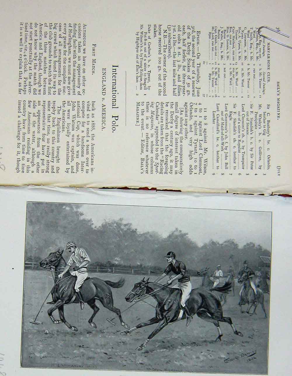 Original Old Antique Print 1902 Polo Horses Sport England America 20th Century