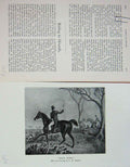 Original Old Antique Print 1903 Fox Hunting Hounds Dogs Horses Sport Country