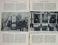 Original Old Antique Print 1903 Horses Ship Stalls Box Transport 20th Century