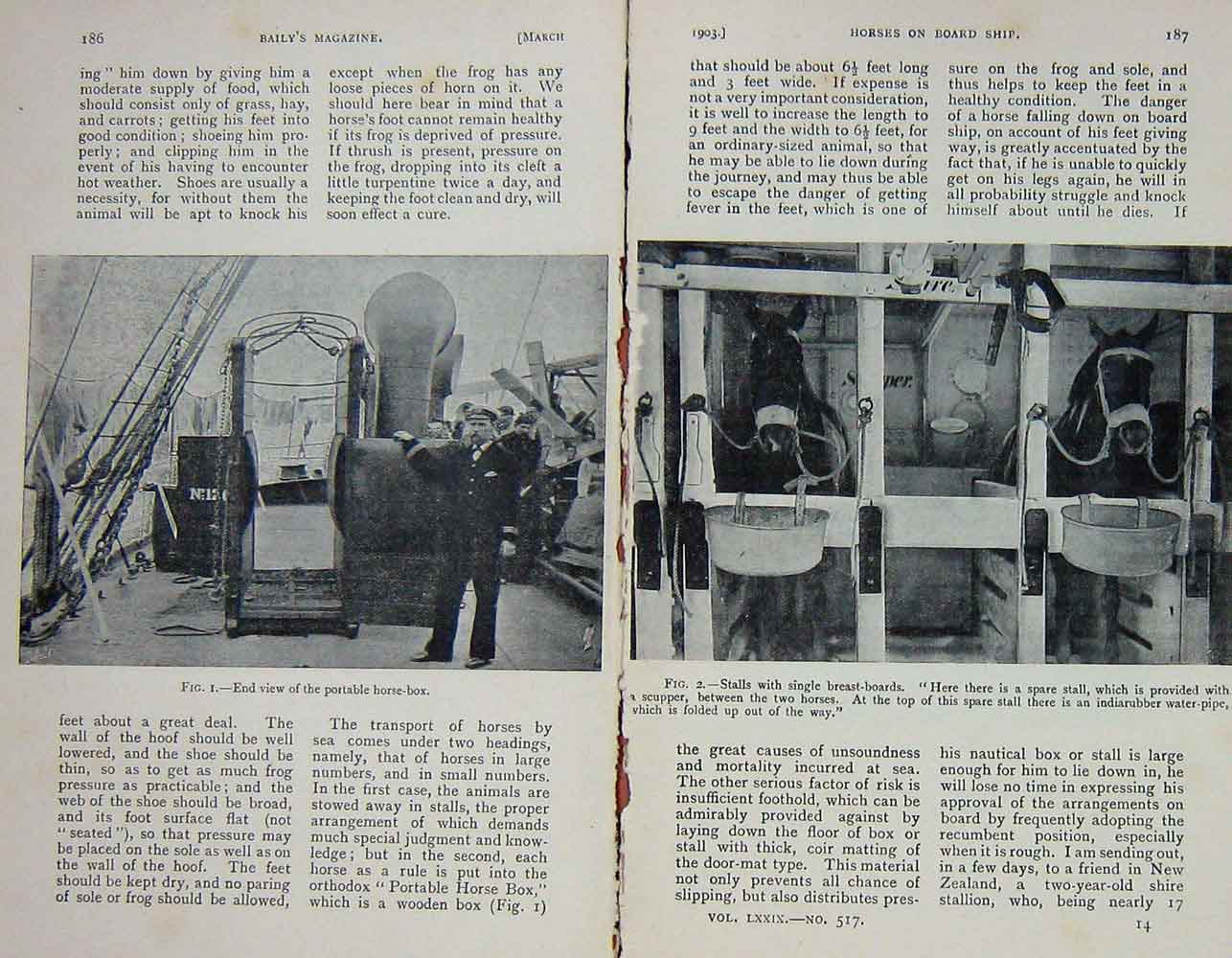 Original Old Antique Print 1903 Horses Ship Stalls Box Transport 20th Century