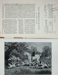 Original Old Antique Print 1903 Portrait Philip Payne Huntsman Sport Dogs 20th