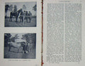 Original Old Antique Print 1901 Photograph Types Horses Norman Fair Victorian