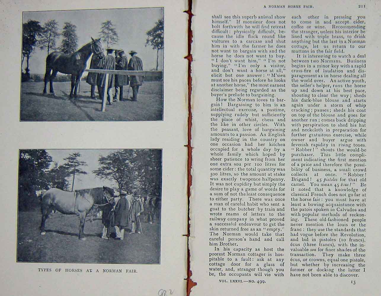 Original Old Antique Print 1901 Photograph Types Horses Norman Fair Victorian