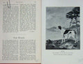 Old Antique Print 1901 Photograph Greyhound Dog Ruler John Rayner Sport 20th