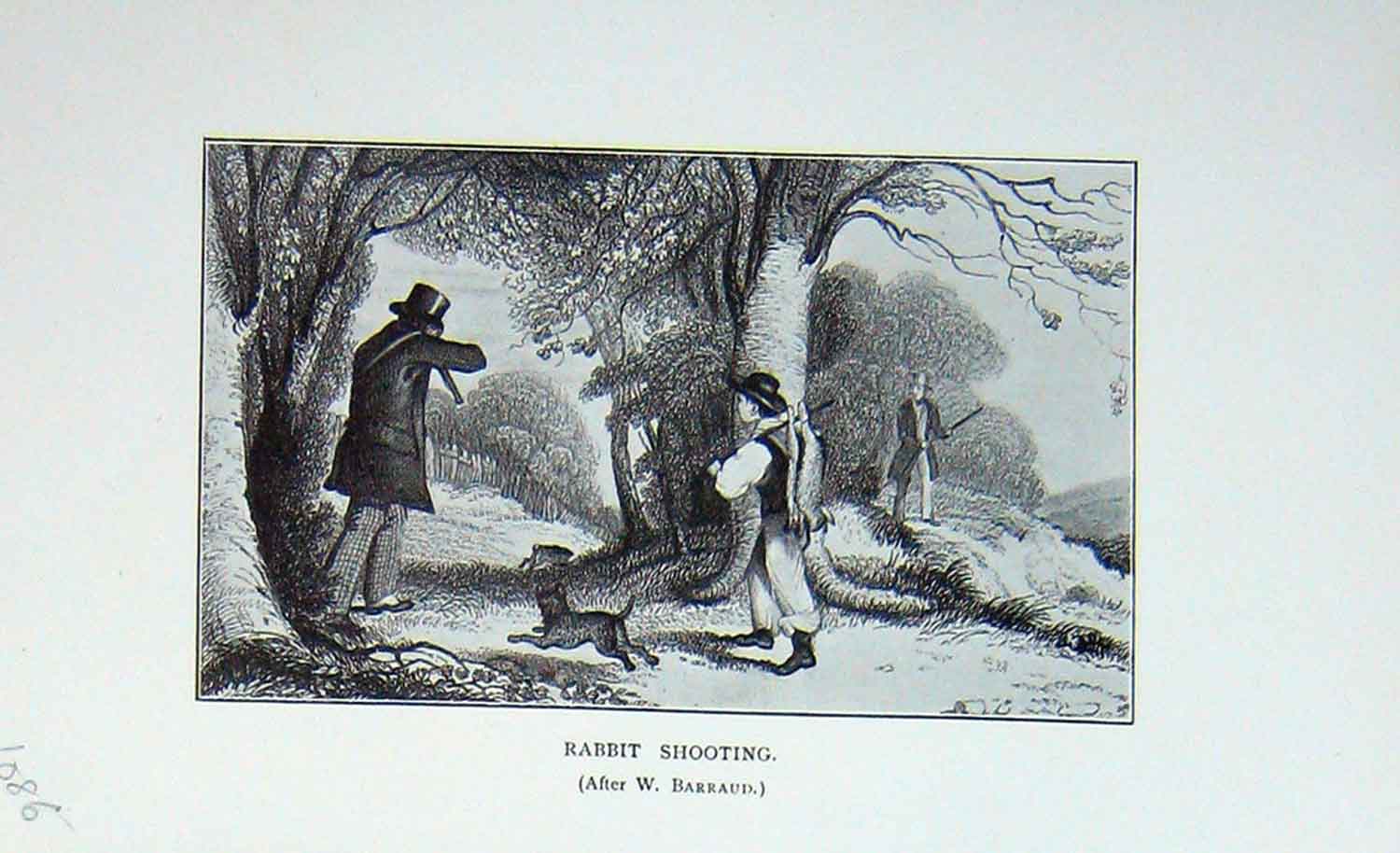 Original Old Antique Print 1904 Rabbit Shooting Hunting Country Man Gunn Dogs
